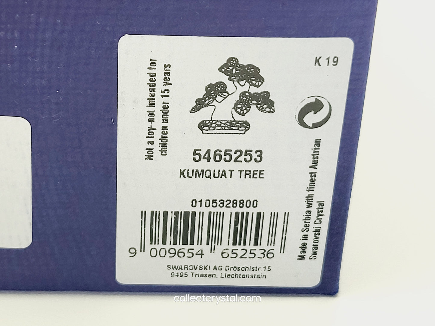 Asian Icon Kumquat Tree Figurine bringing Good Luck Fortune 5465253