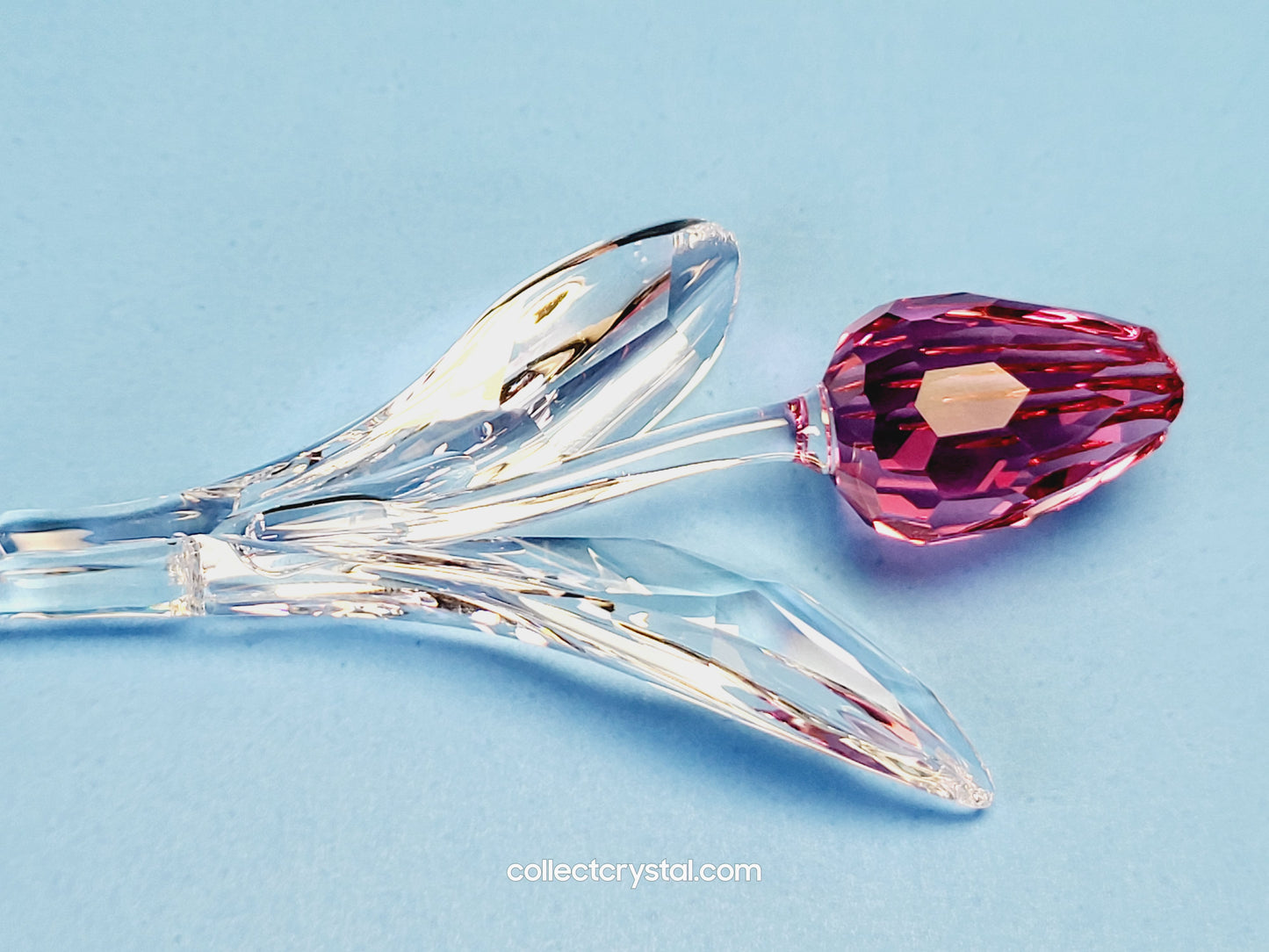 Pink Tulip Flower # 7400 200 407 or # 681333