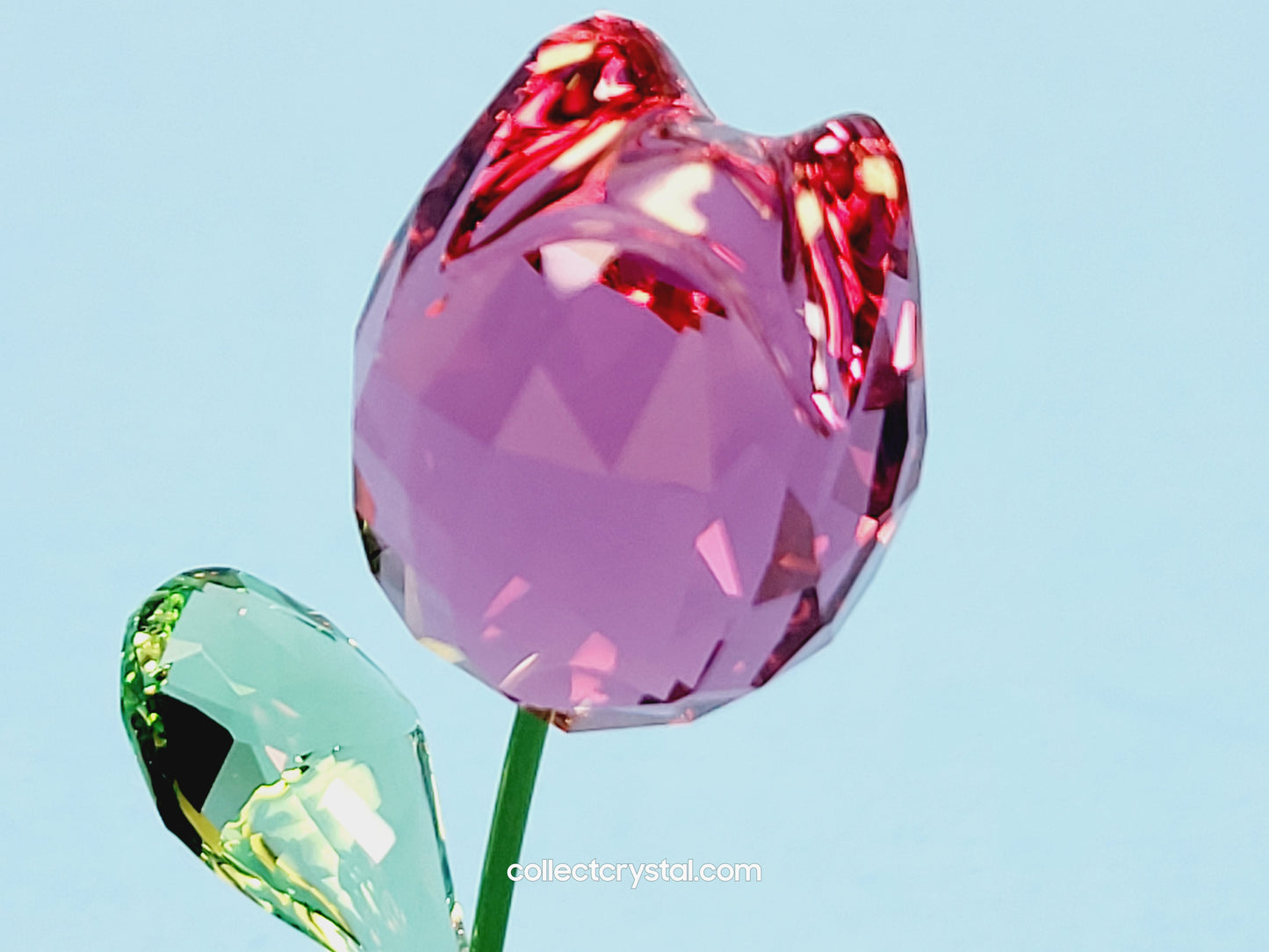 Flower Dreams Pink Tulip Crystal Ornament 5254316