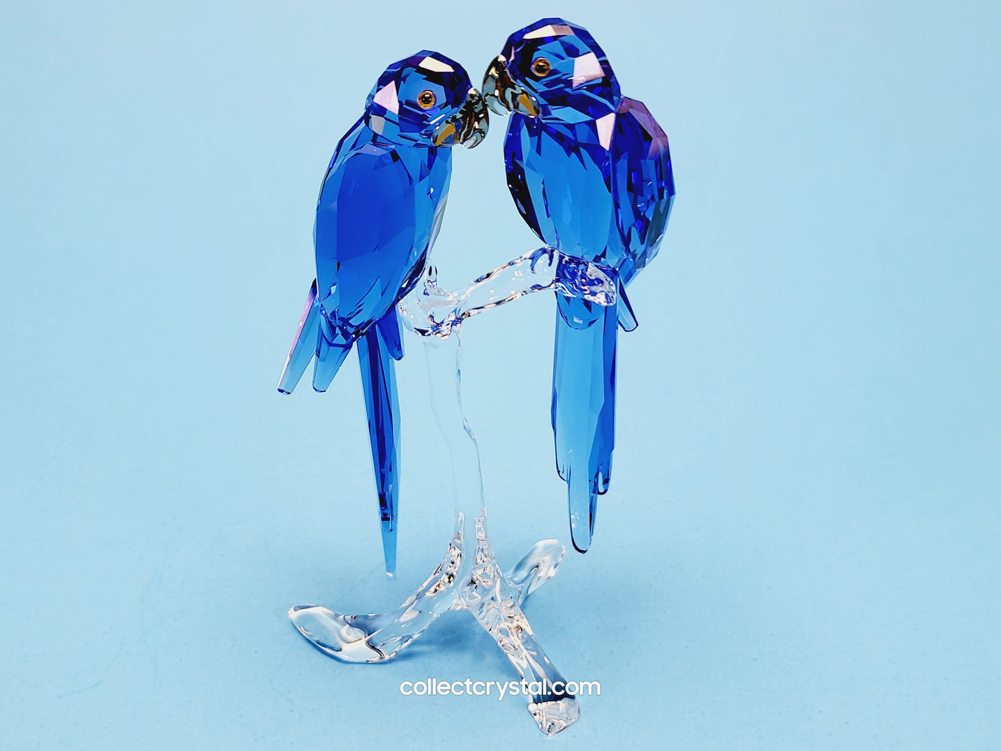 HYACINTH MACAWS # 5004730 blue birds