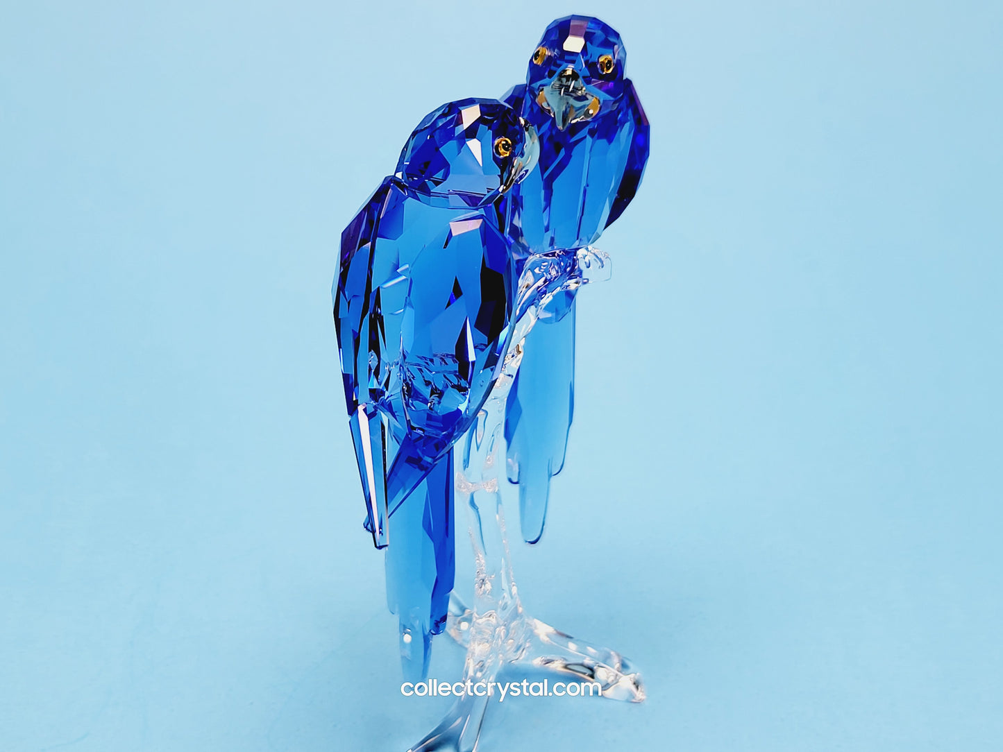 HYACINTH MACAWS # 5004730 blue birds