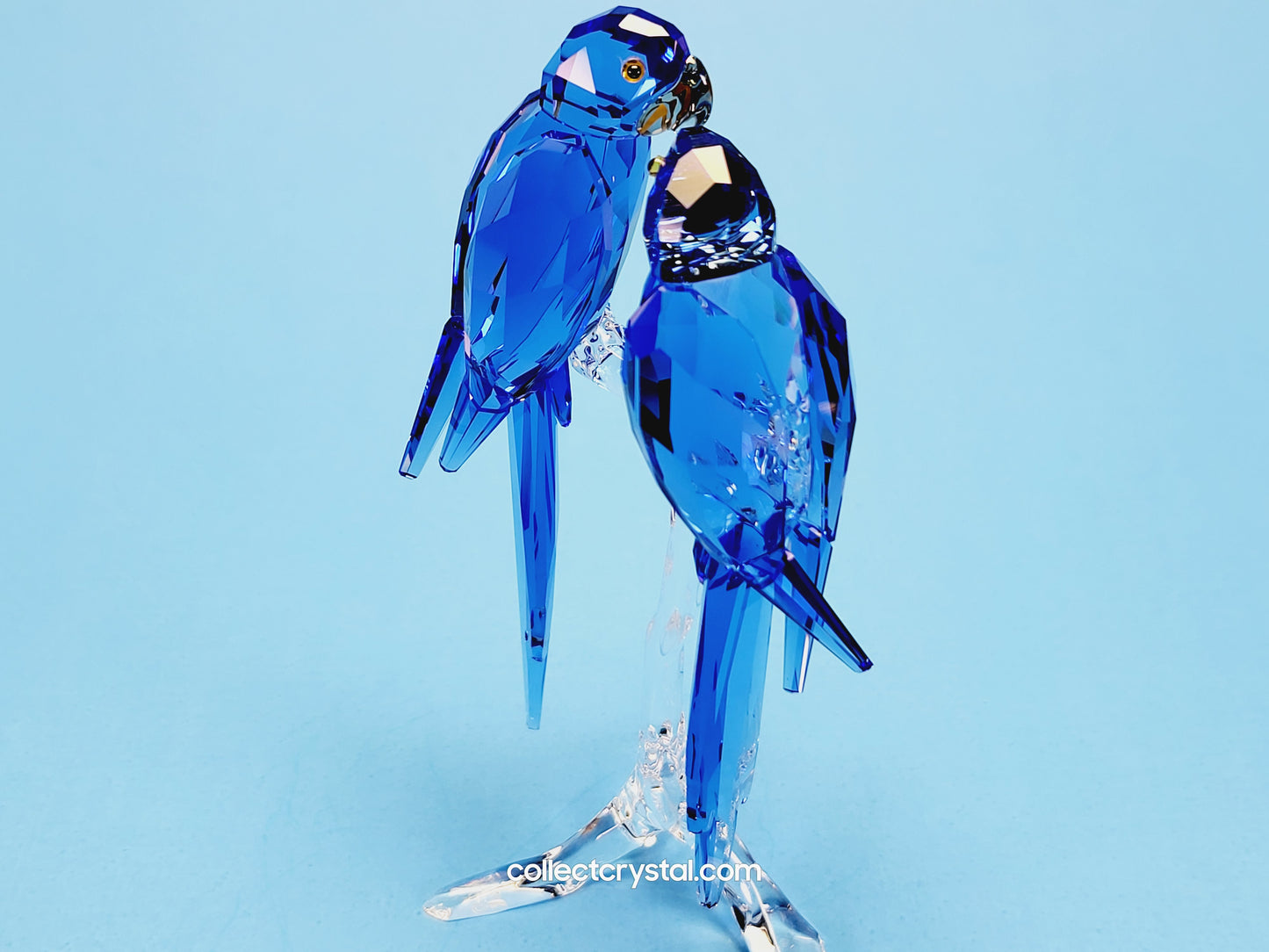 HYACINTH MACAWS # 5004730 blue birds