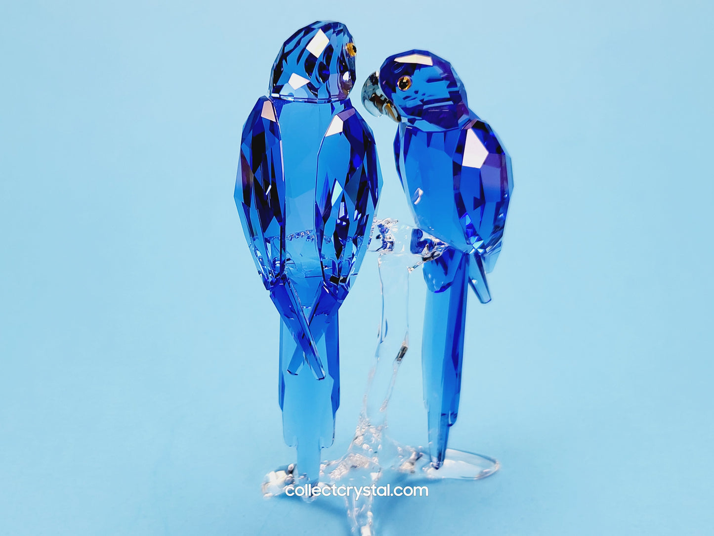 HYACINTH MACAWS # 5004730 blue birds