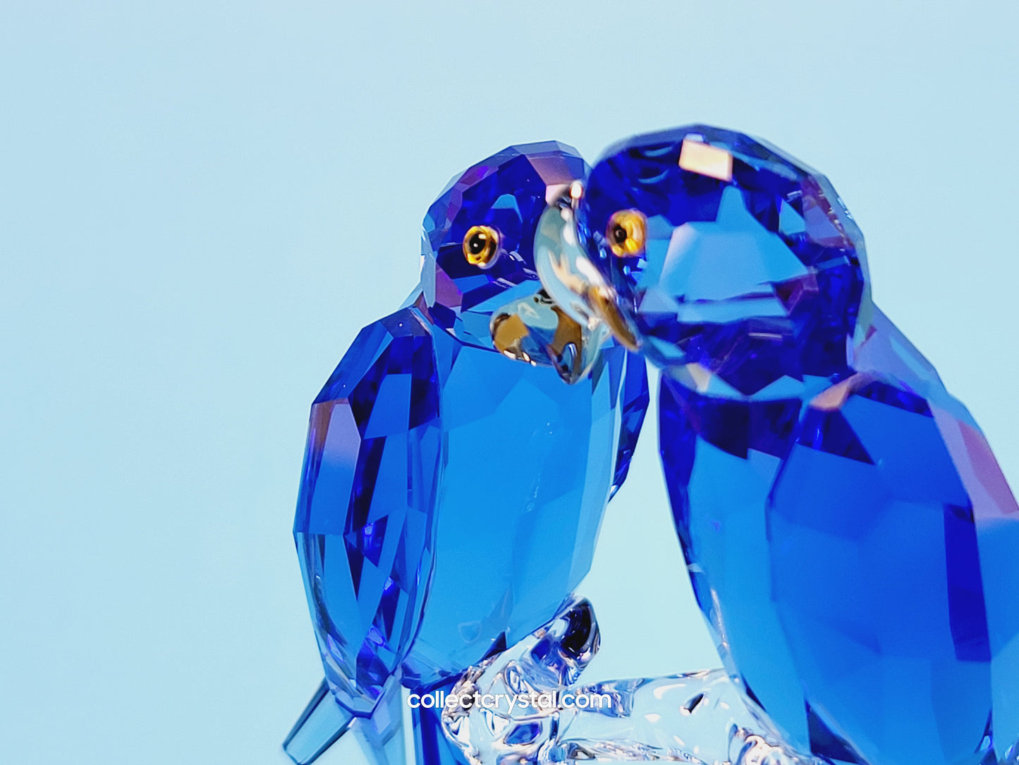 HYACINTH MACAWS # 5004730 blue birds