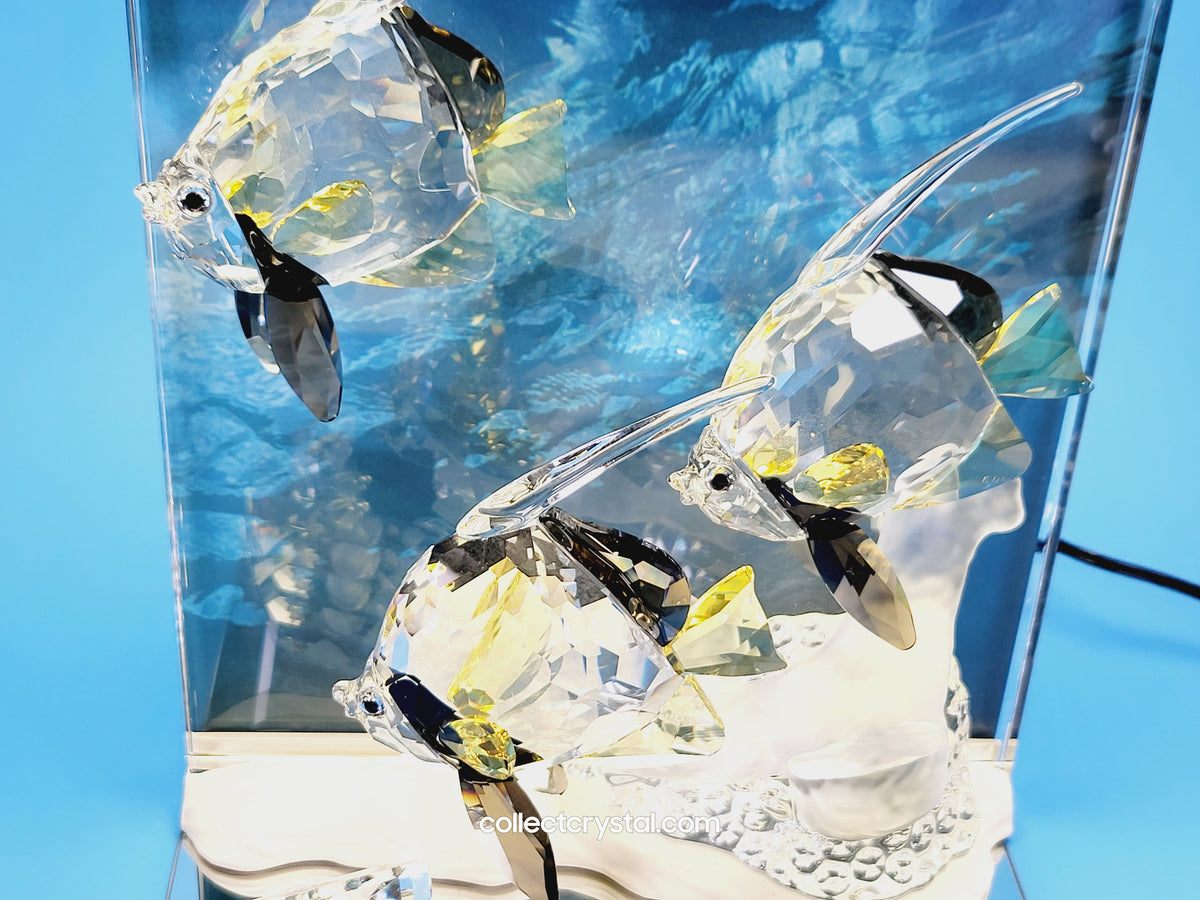 Swarovski Wonders Of The Sea SCS Community Colored Set w accessories # 854650