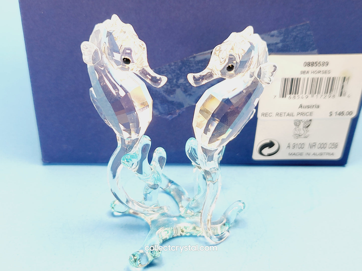 SEA HORSES / SEAHORSES 885589 on blue coral
