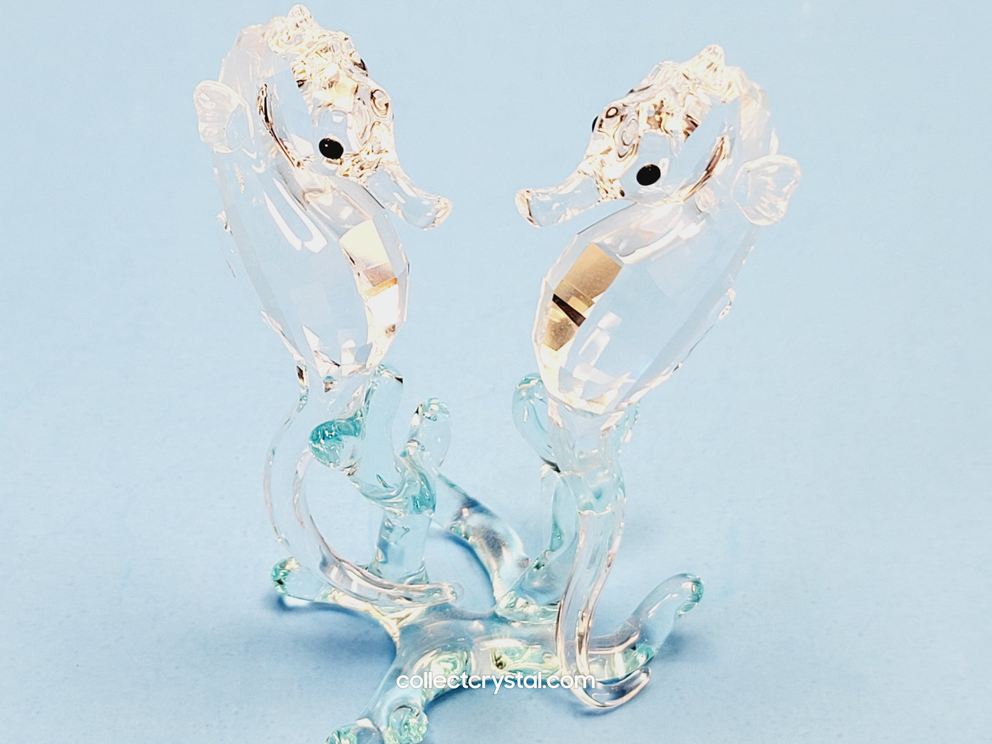 SEA HORSES / SEAHORSES 885589 on blue coral