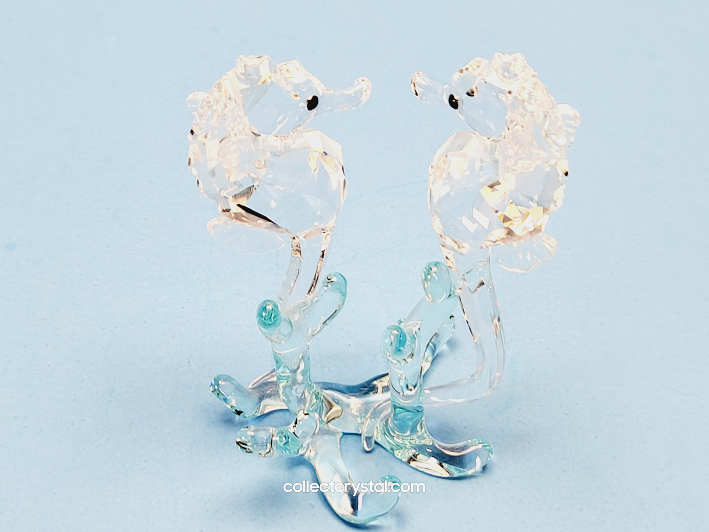 SEA HORSES / SEAHORSES 885589 on blue coral