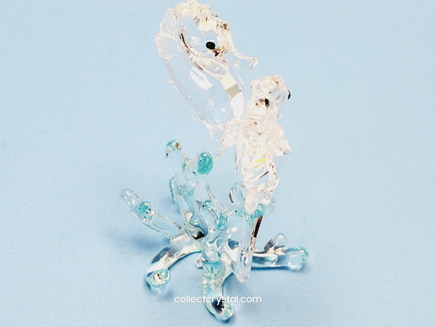 SEA HORSES / SEAHORSES 885589 on blue coral
