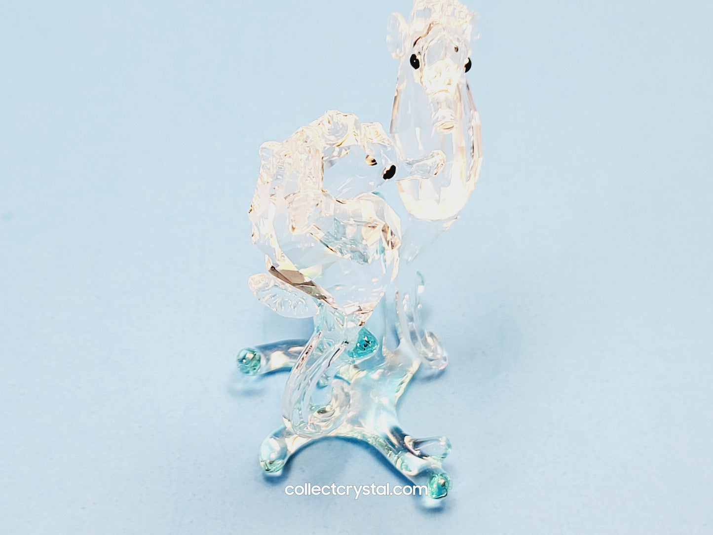SEA HORSES / SEAHORSES 885589 on blue coral