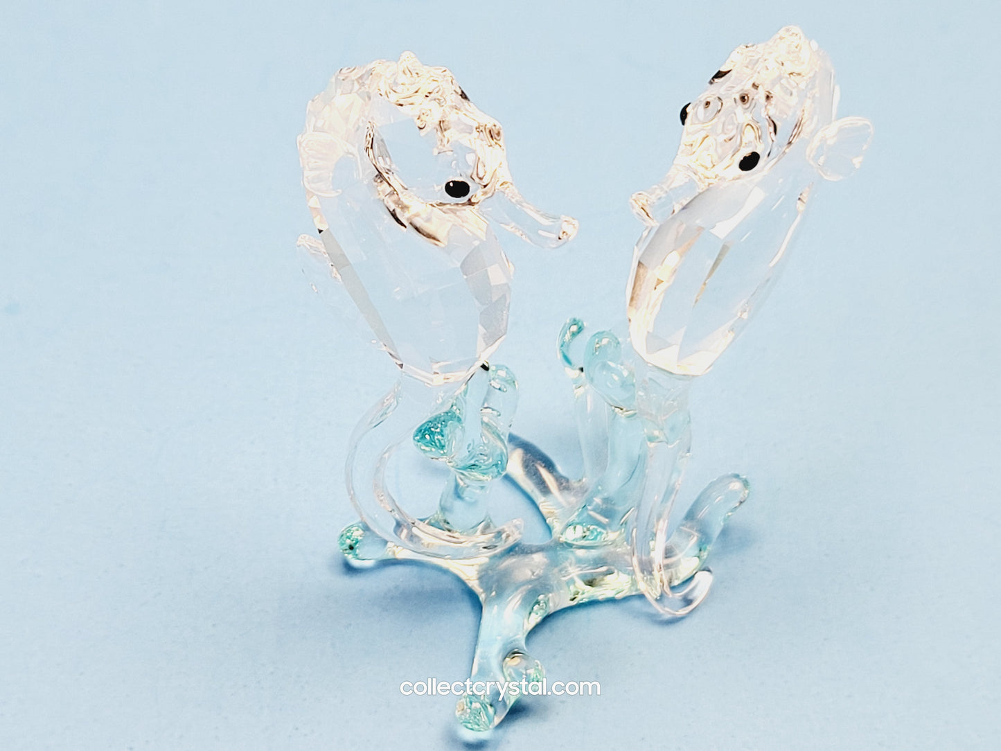 SEA HORSES / SEAHORSES 885589 on blue coral