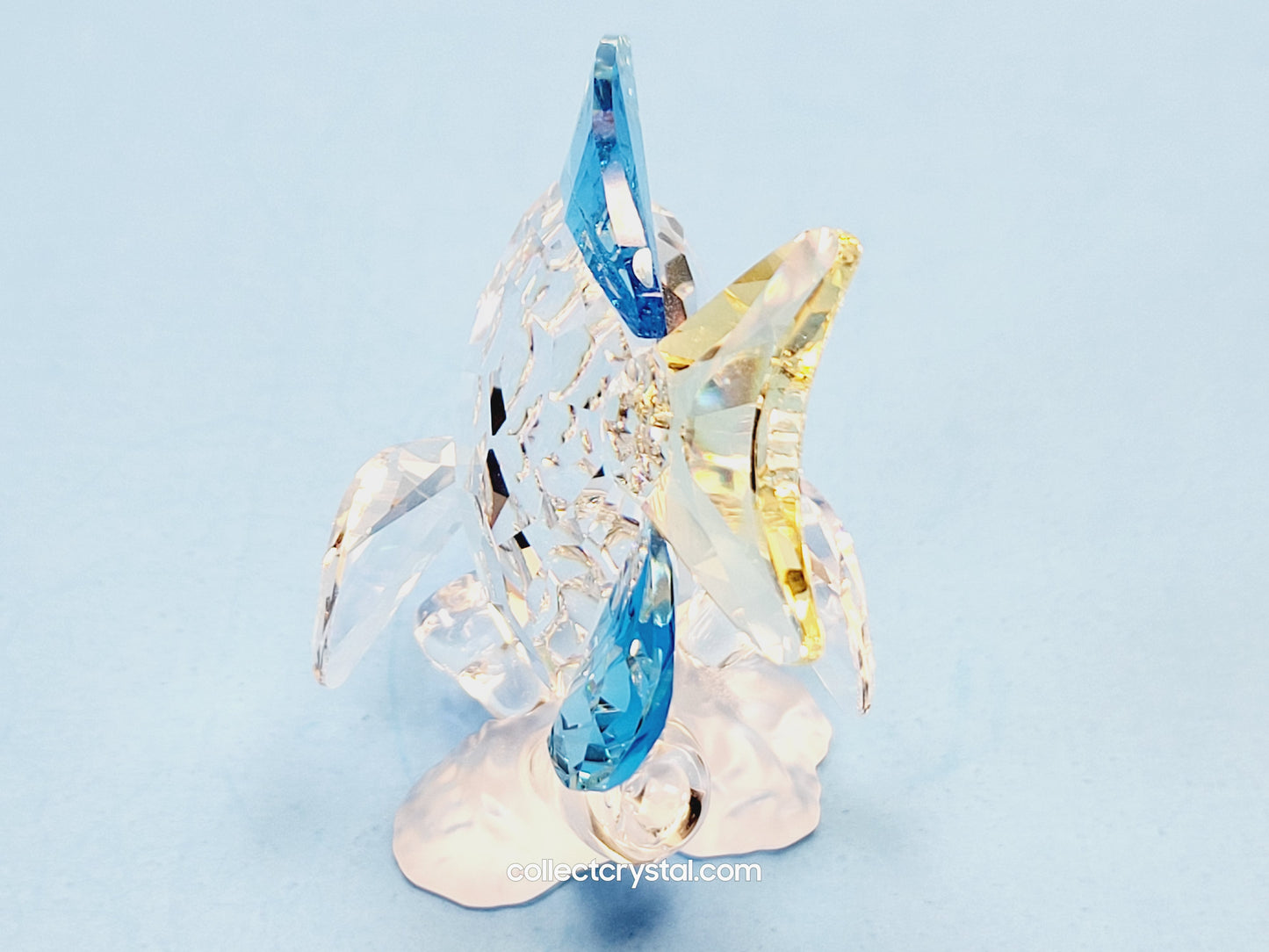 2007 TANG FISH BLUE – COLOR # 886180