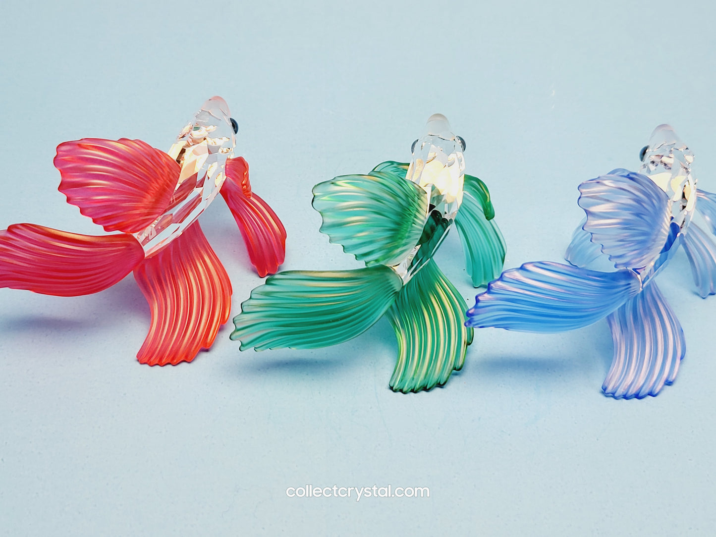 SWAROVSKI SET OF 3 SIAMESE FIGHTING FISH beta 236718 660941 and 261259