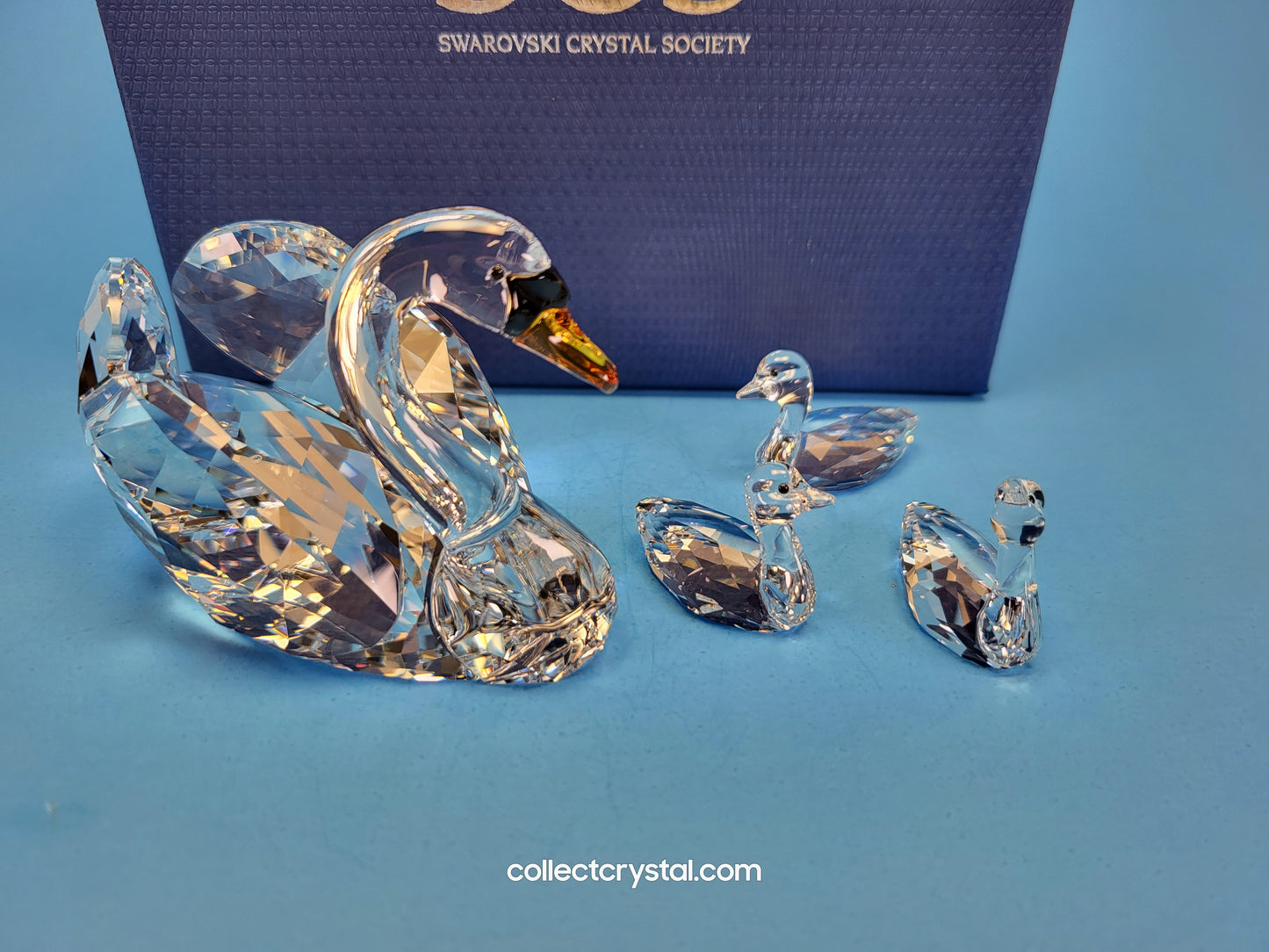 2017 JUBILEE SWANS 5233542