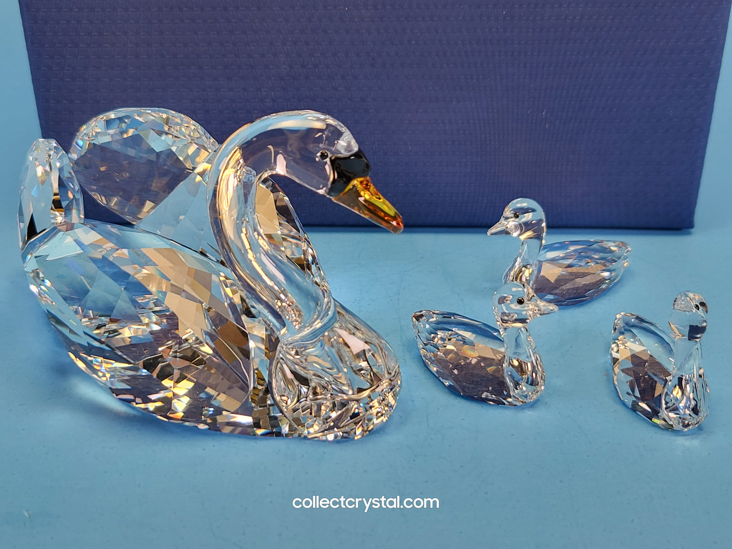 2017 JUBILEE SWANS 5233542