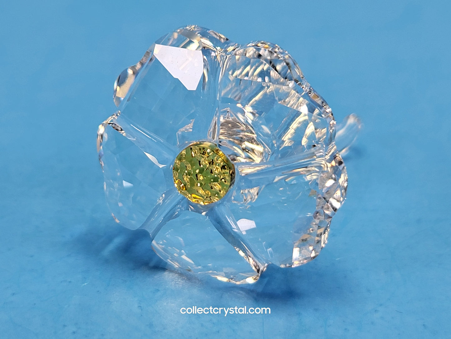 SCS JOINING/RENEWAL GIFT – WILD FLOWER 5244642