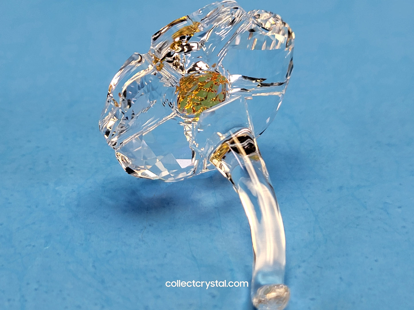 SCS JOINING/RENEWAL GIFT – WILD FLOWER 5244642