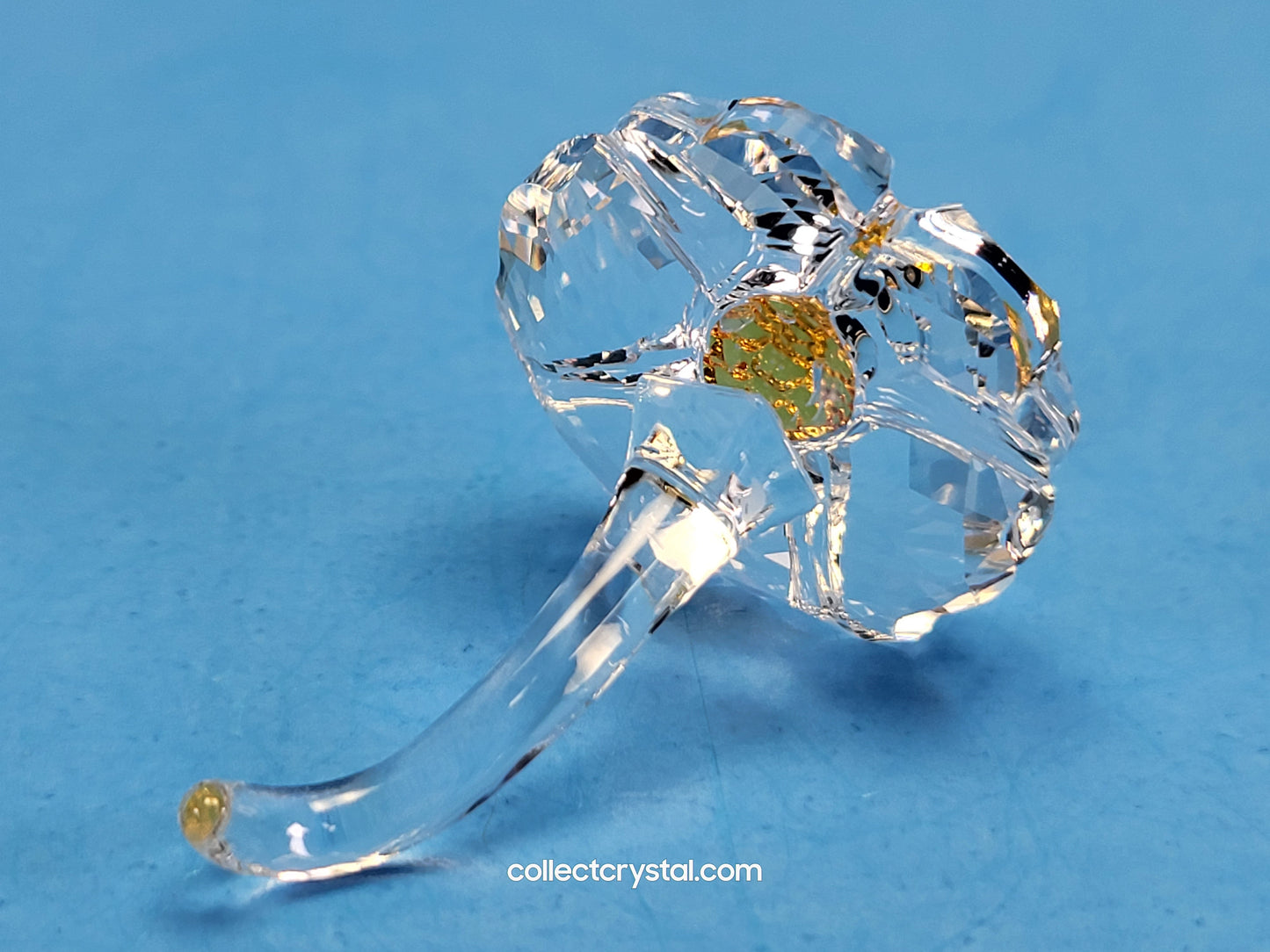 SCS JOINING/RENEWAL GIFT – WILD FLOWER 5244642