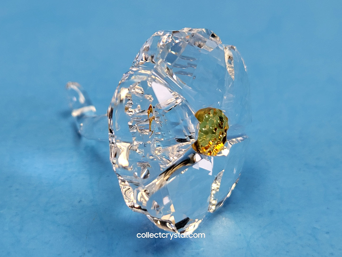 SCS JOINING/RENEWAL GIFT – WILD FLOWER 5244642