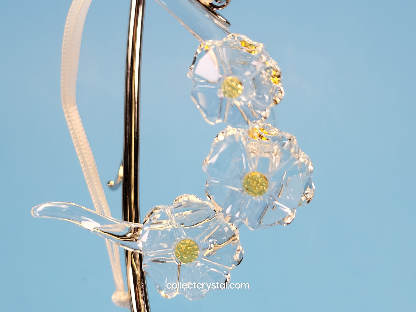 ORNAMENT WILD FLOWER 5244637