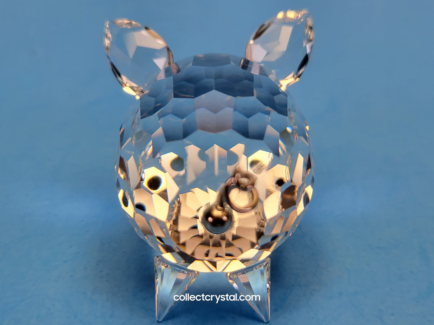 PIG MEDIUM V2 METAL TAIL 010031 MIB Complete