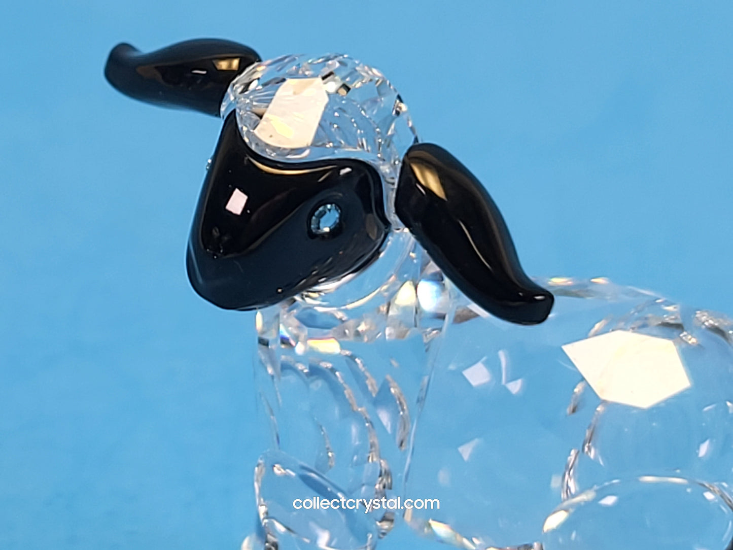 LAMB LITTLE BLACK FACE 654305