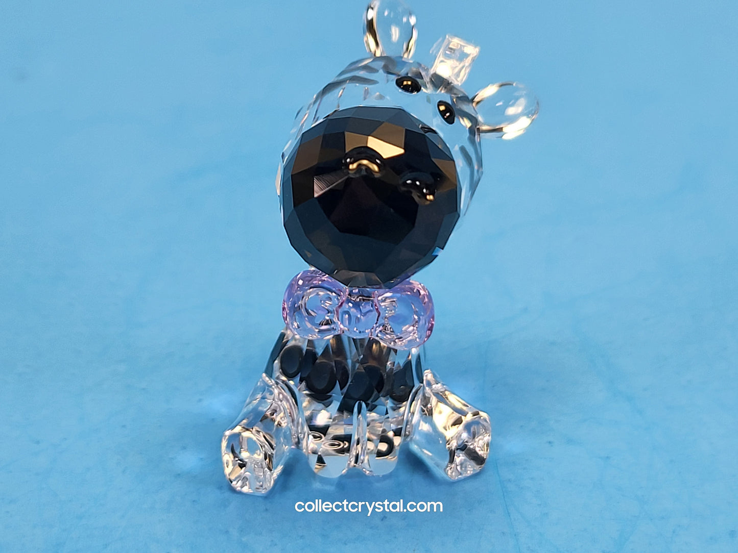 ZEBRA 2021 LOYALTY GIFT # 5597150