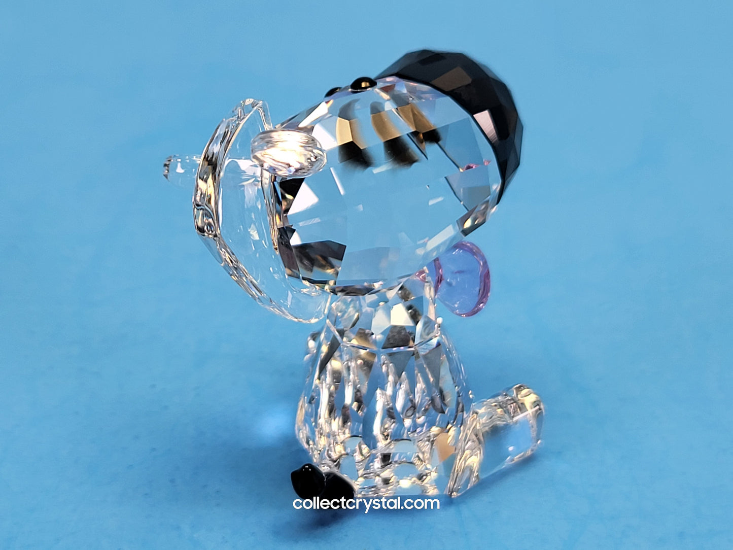 ZEBRA 2021 LOYALTY GIFT # 5597150