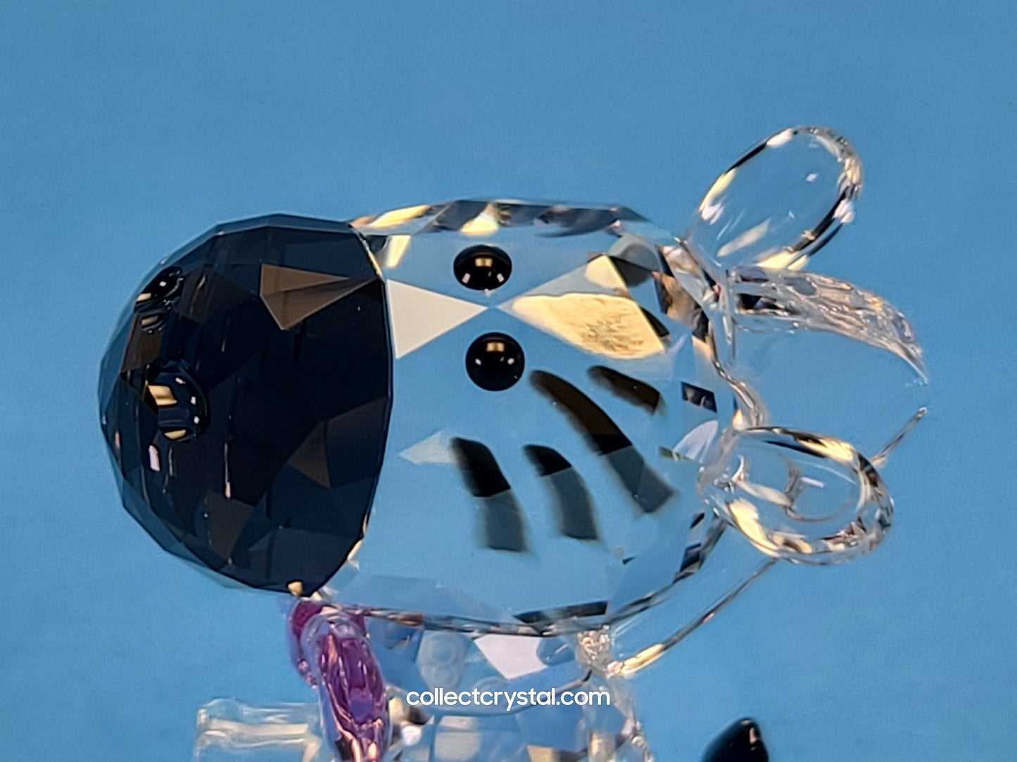 ZEBRA 2021 LOYALTY GIFT # 5597150