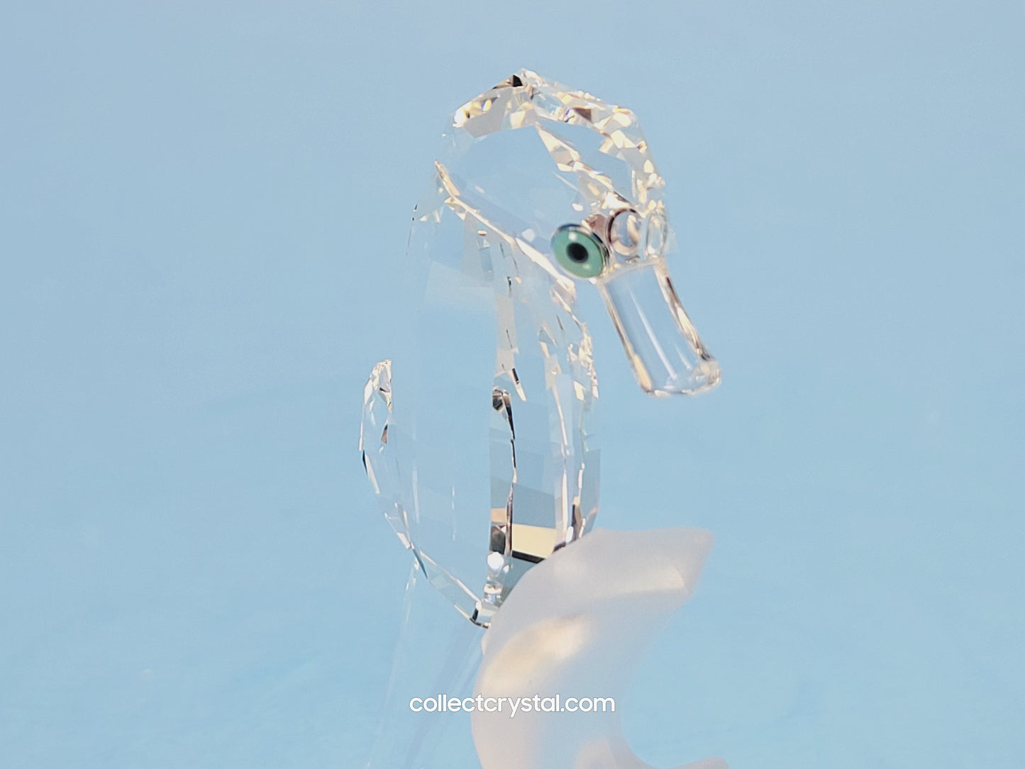 Sea Life Sea Horse Figurine 7614 080 000 Seahorse 168683