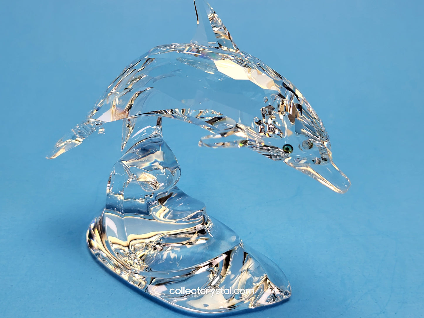 DOLPHIN ON A WAVE 190365