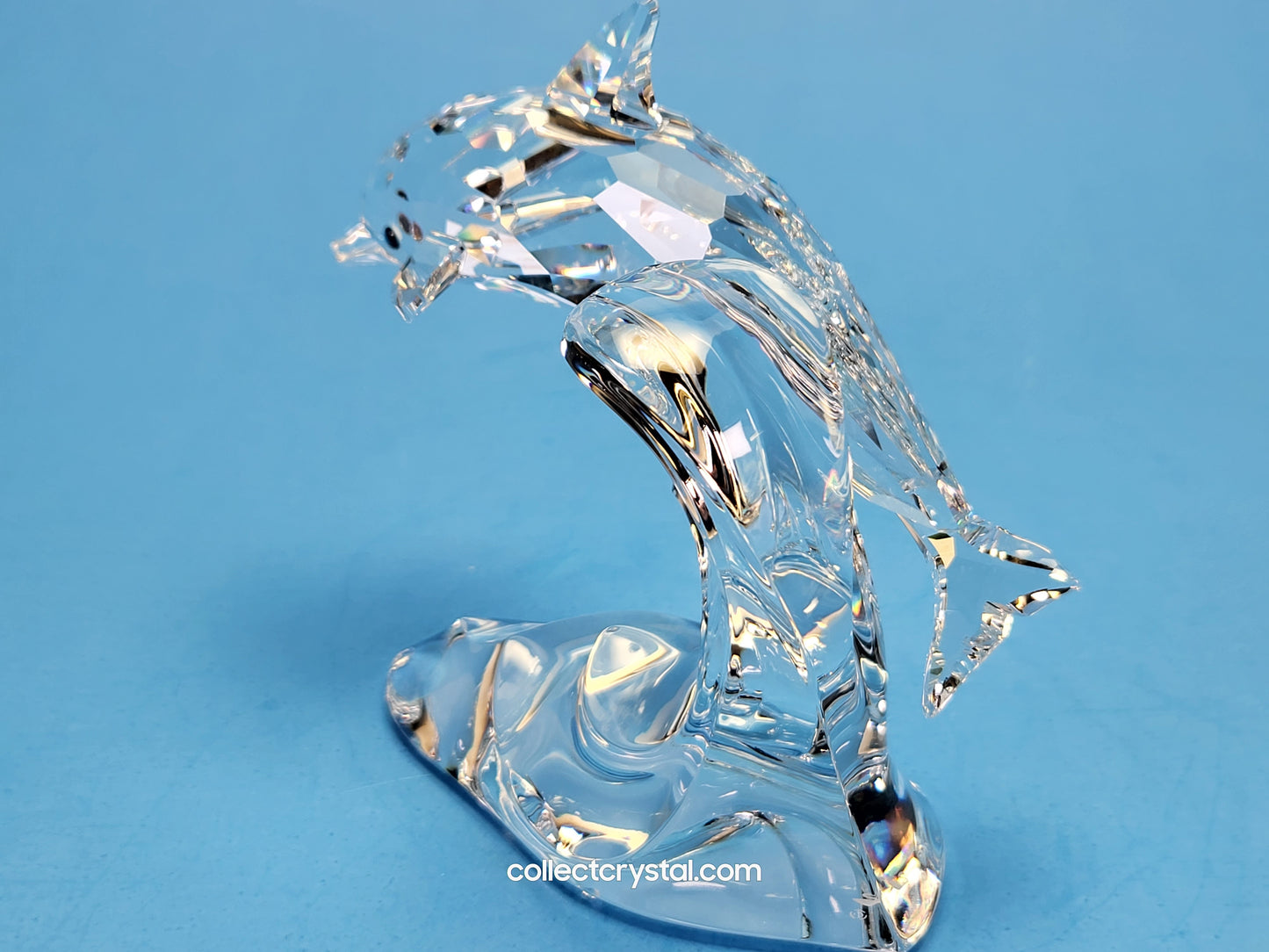 DOLPHIN ON A WAVE 190365