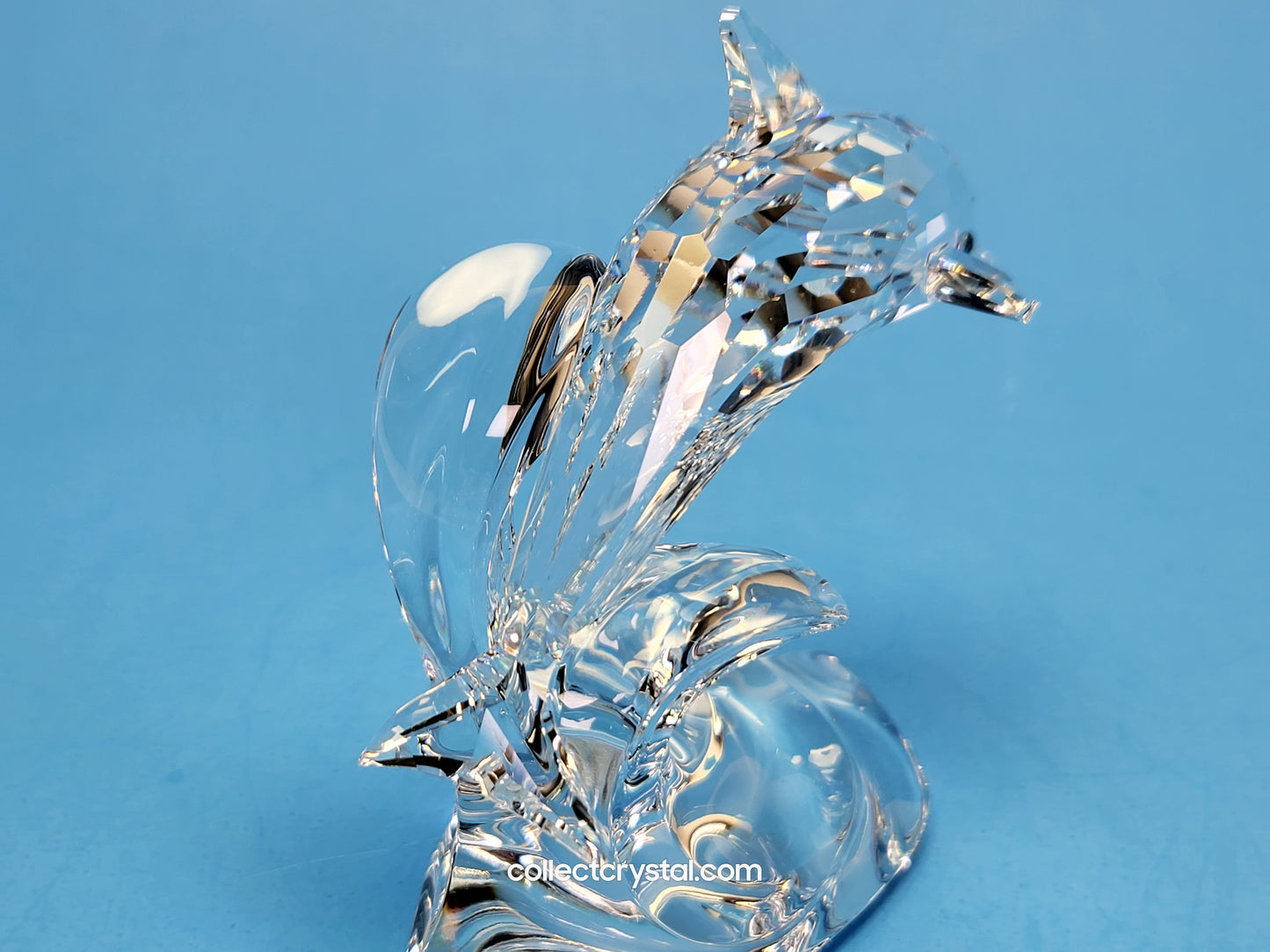 DOLPHIN ON A WAVE 190365