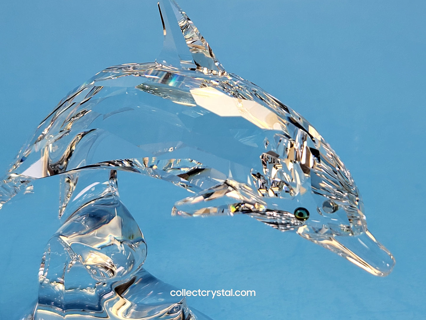 DOLPHIN ON A WAVE 190365
