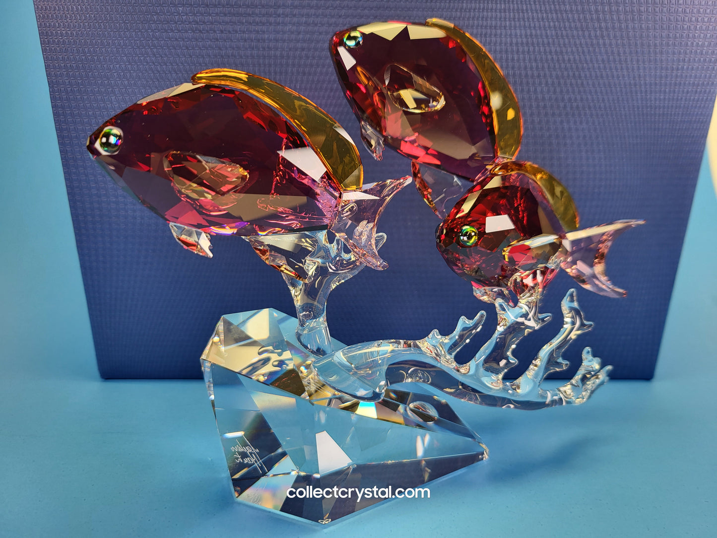 Anthias PARADISE Fish Trio # 5428652 Figurine Signed by Designer