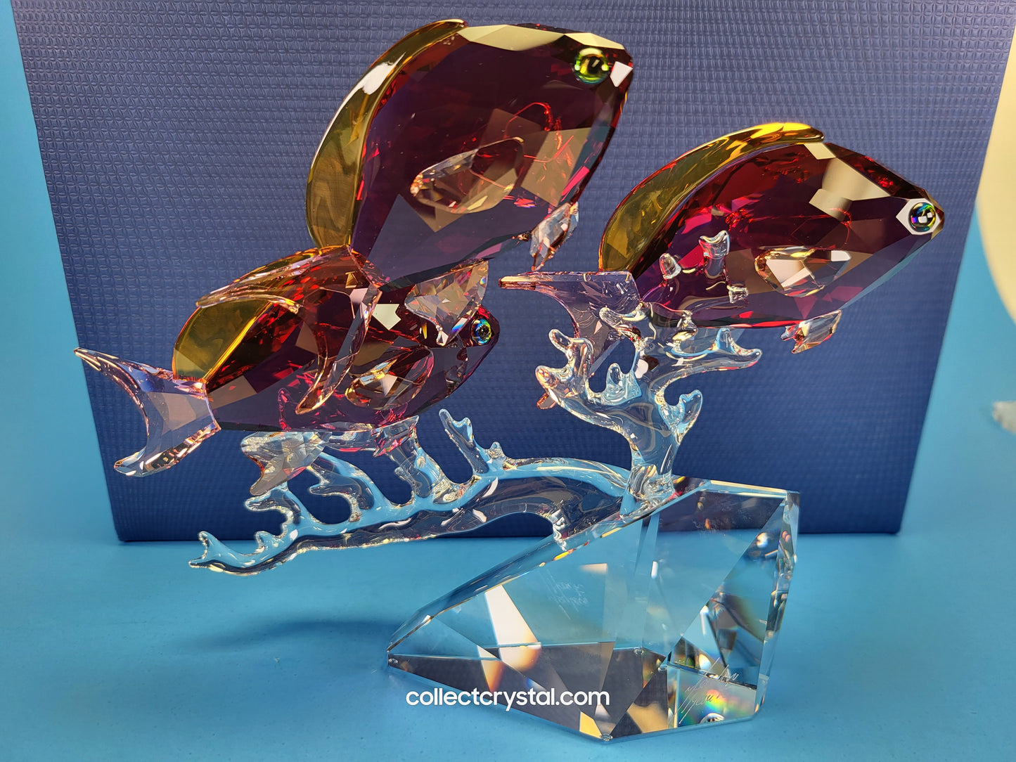 Anthias PARADISE Fish Trio # 5428652 Figurine Signed by Designer