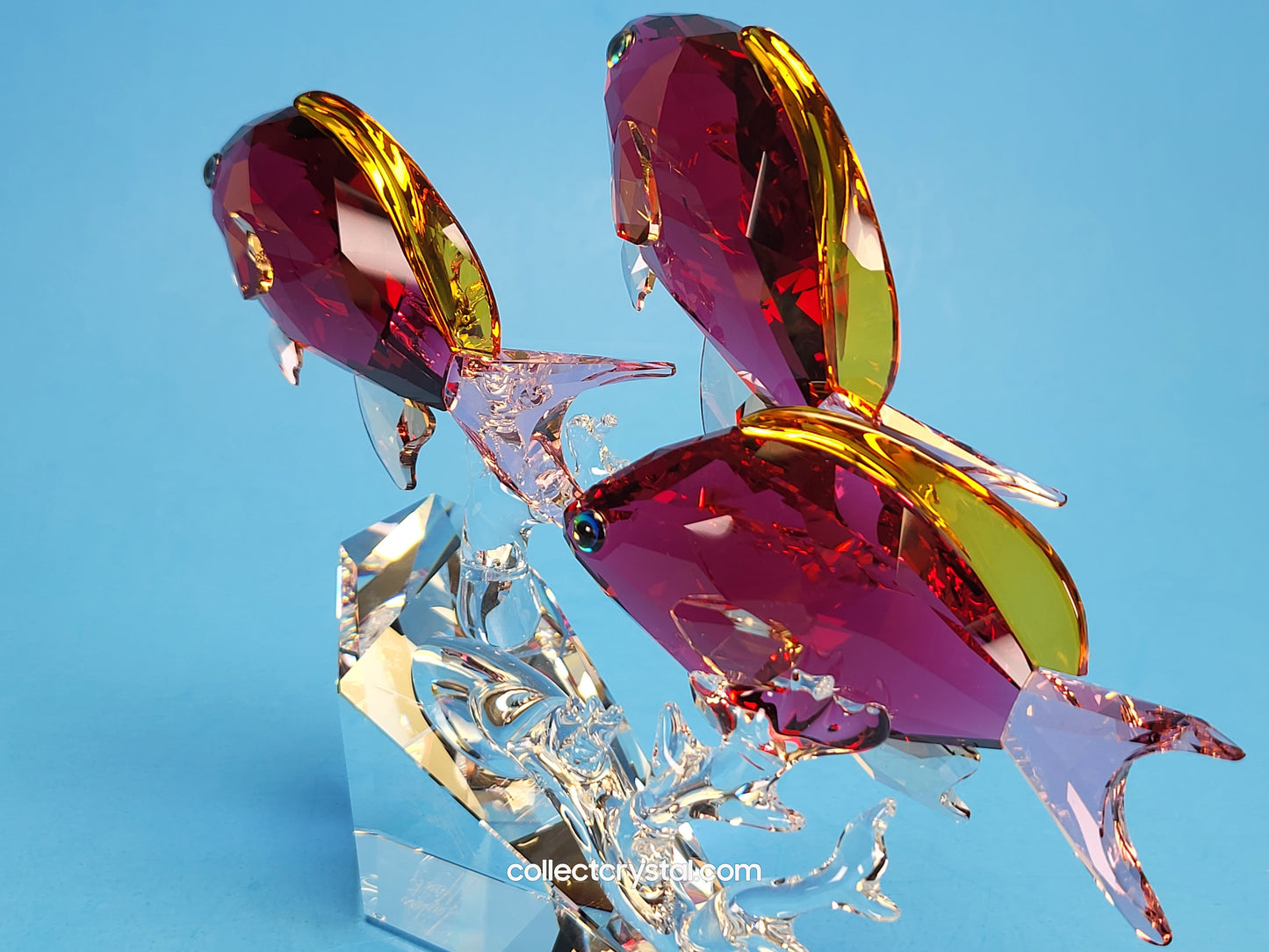 Anthias PARADISE Fish Trio # 5428652 Figurine Signed by Designer
