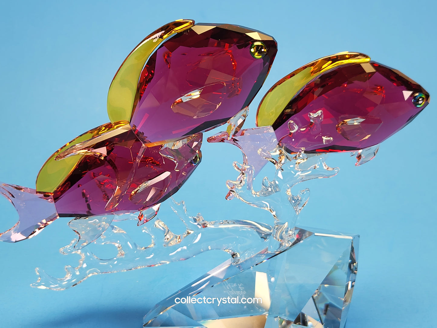 Anthias PARADISE Fish Trio # 5428652 Figurine Signed by Designer