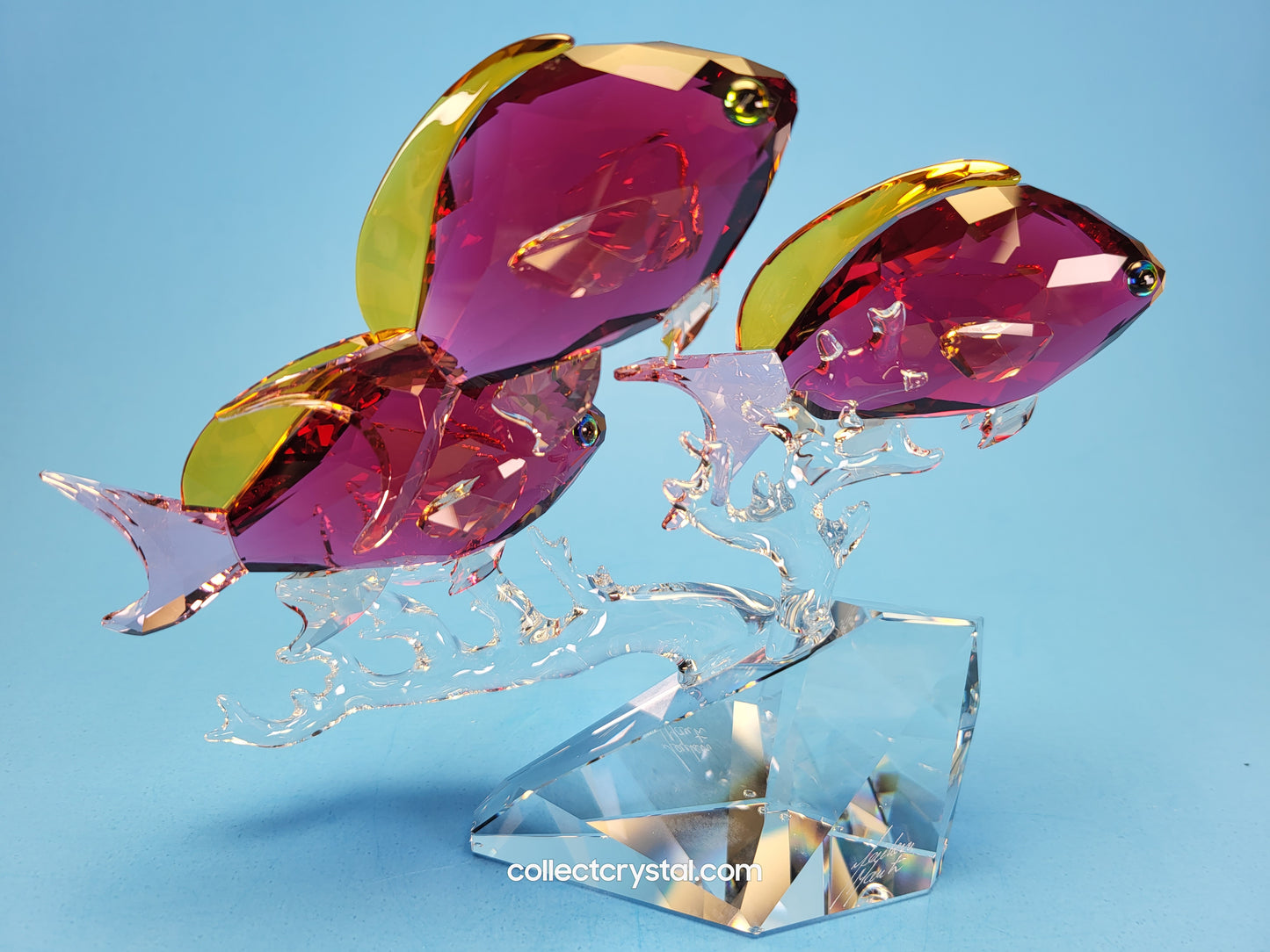 Anthias PARADISE Fish Trio # 5428652 Figurine Signed by Designer