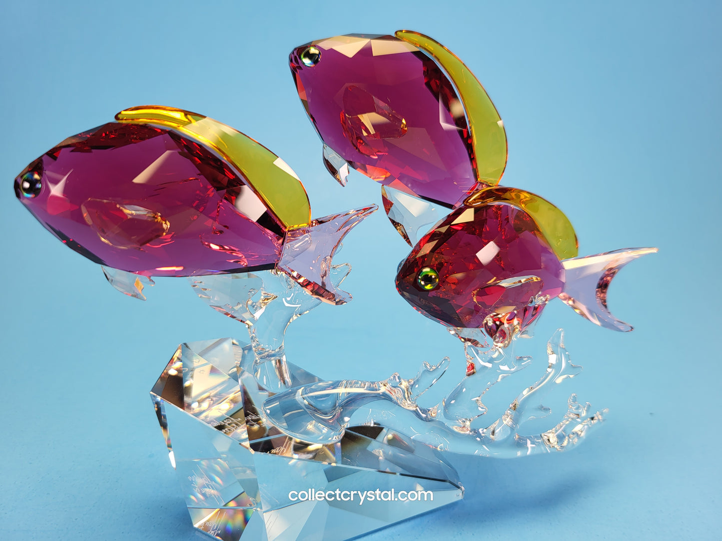Anthias PARADISE Fish Trio # 5428652 Figurine Signed by Designer