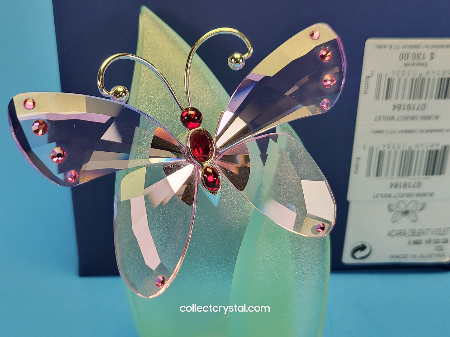 PARADISE BUGS OBJECT – BUTTERFLY ACARA VIOLET 719184