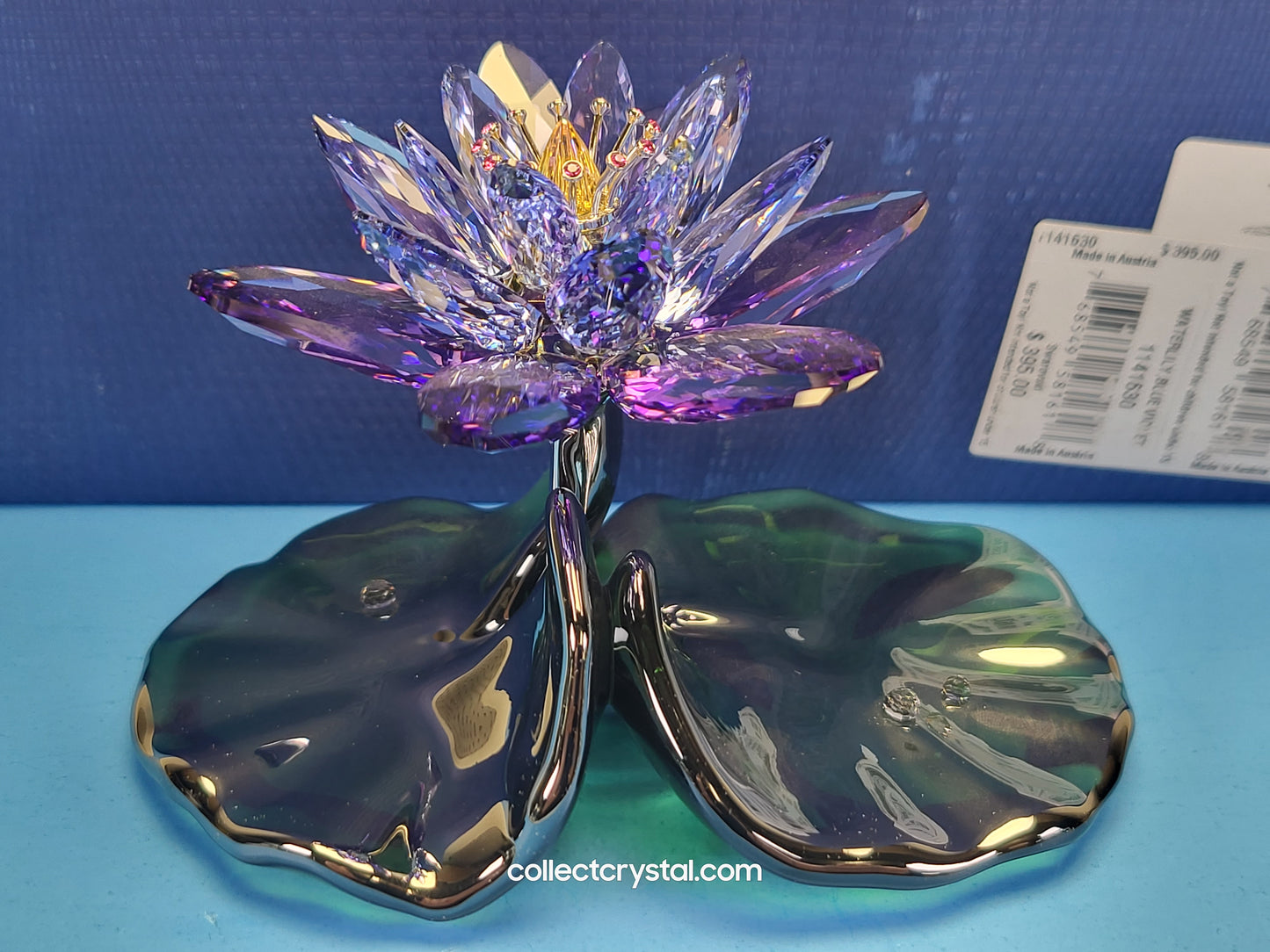 Water Lily Flower PARADISE FLOWERS – WATERLILY BLUE VIOLET 1141630