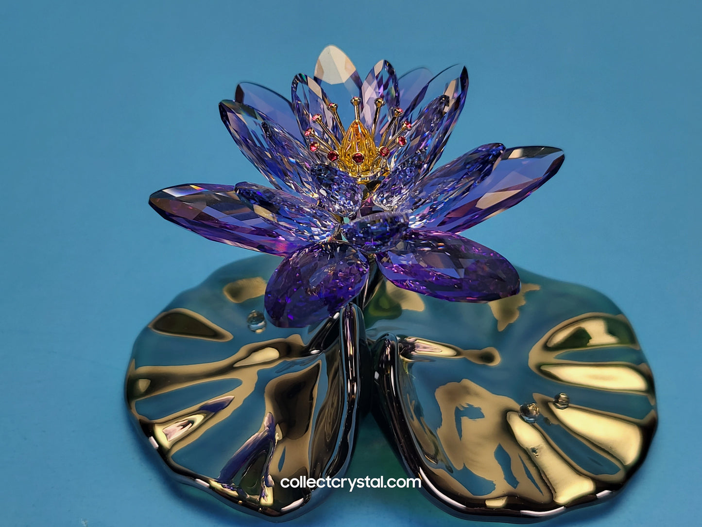 Water Lily Flower PARADISE FLOWERS – WATERLILY BLUE VIOLET 1141630