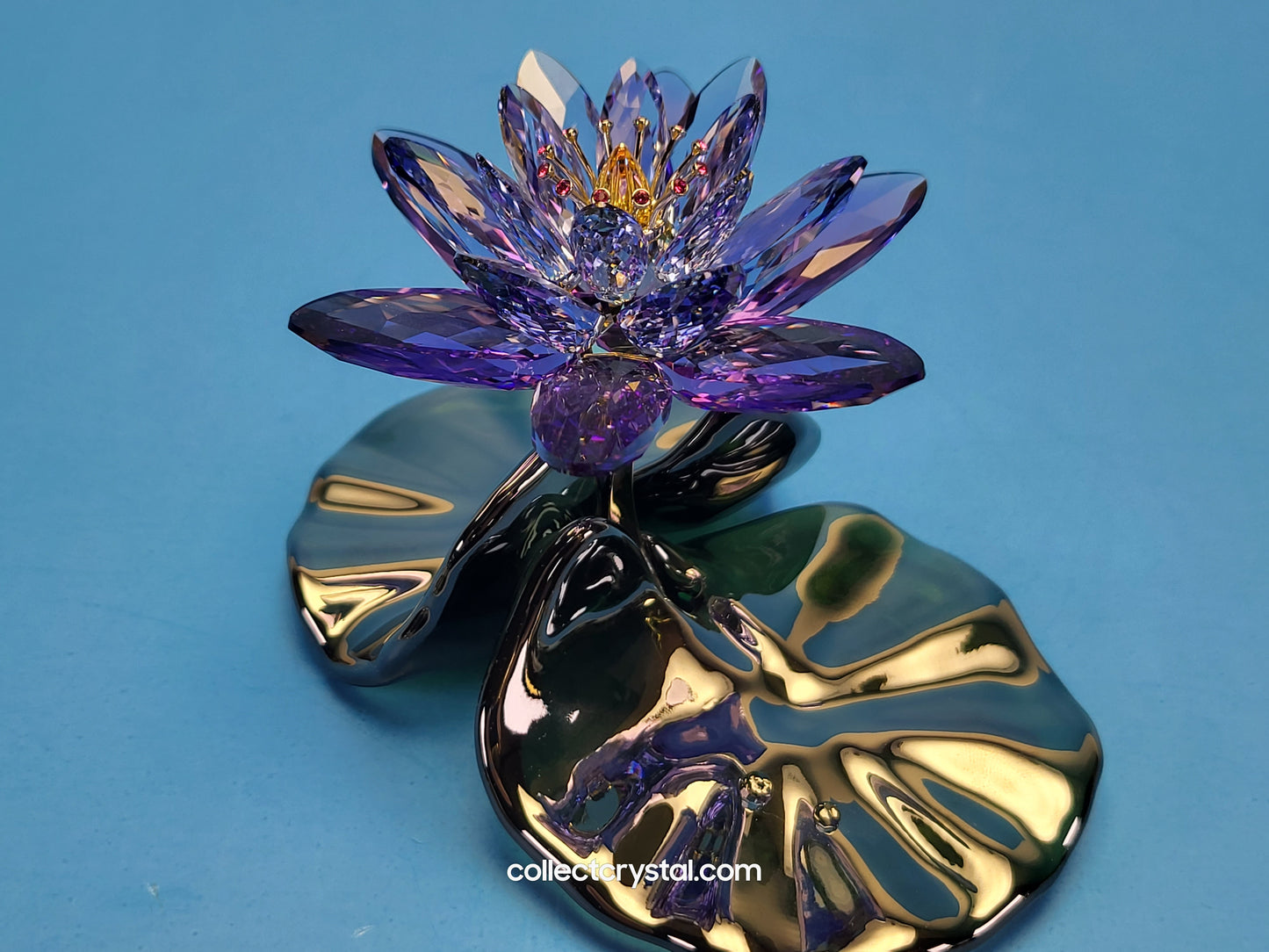 Water Lily Flower PARADISE FLOWERS – WATERLILY BLUE VIOLET 1141630