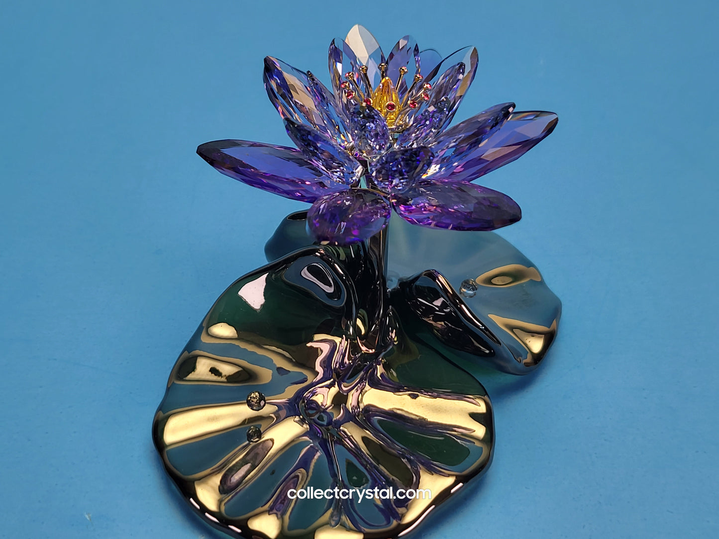 Water Lily Flower PARADISE FLOWERS – WATERLILY BLUE VIOLET 1141630