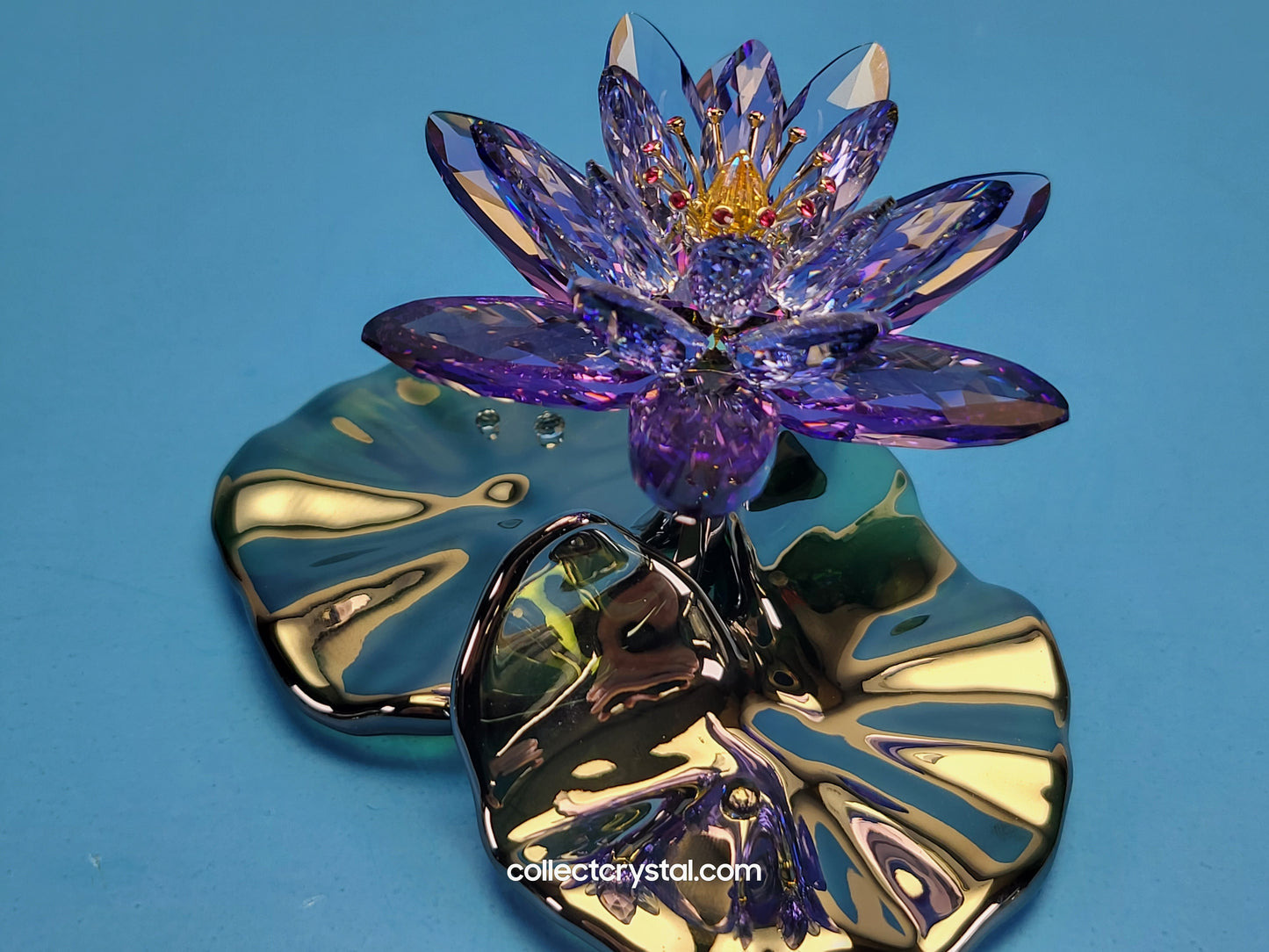Water Lily Flower PARADISE FLOWERS – WATERLILY BLUE VIOLET 1141630