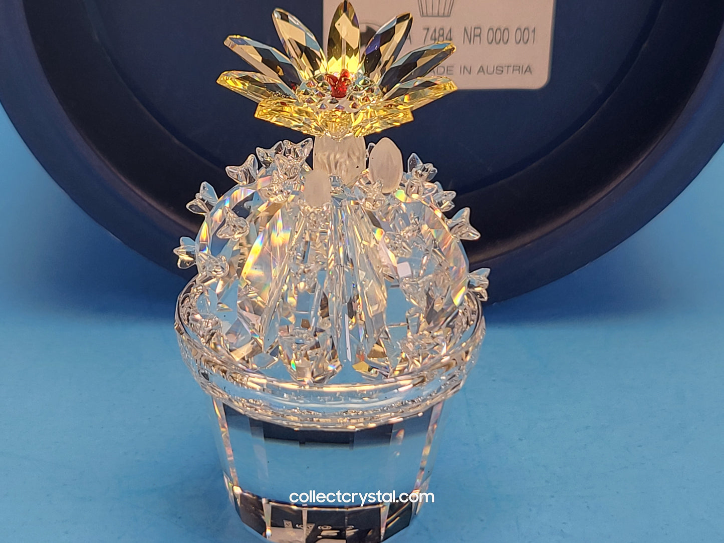 Flowering Cactus 291549 Figurine