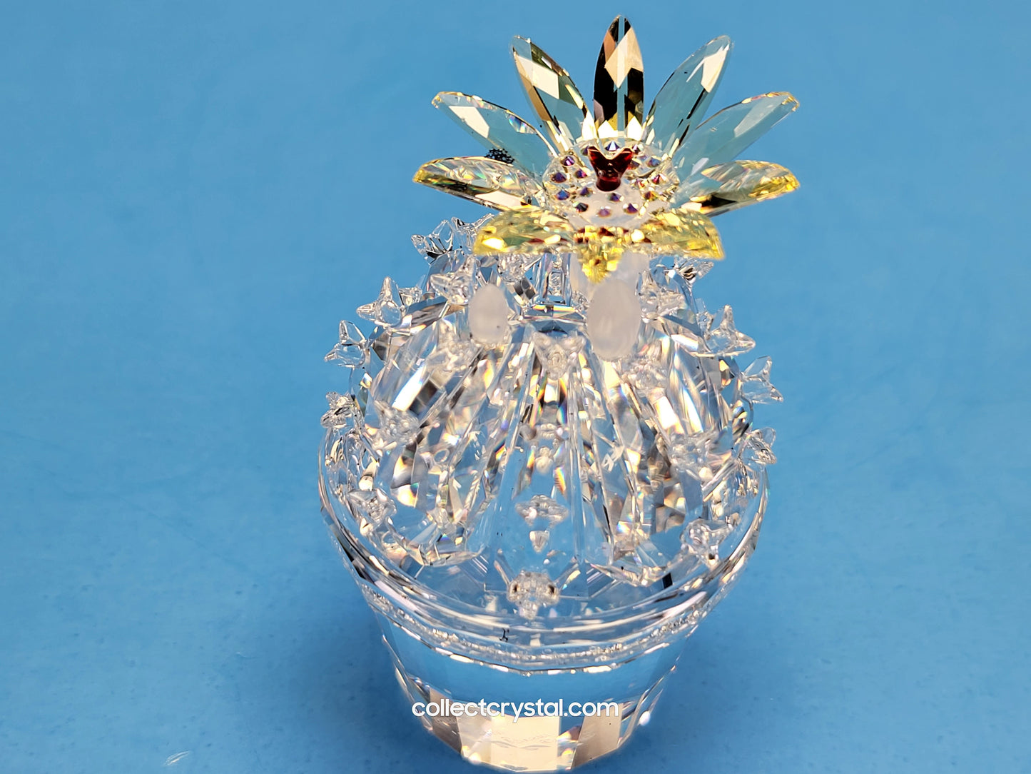Flowering Cactus 291549 Figurine