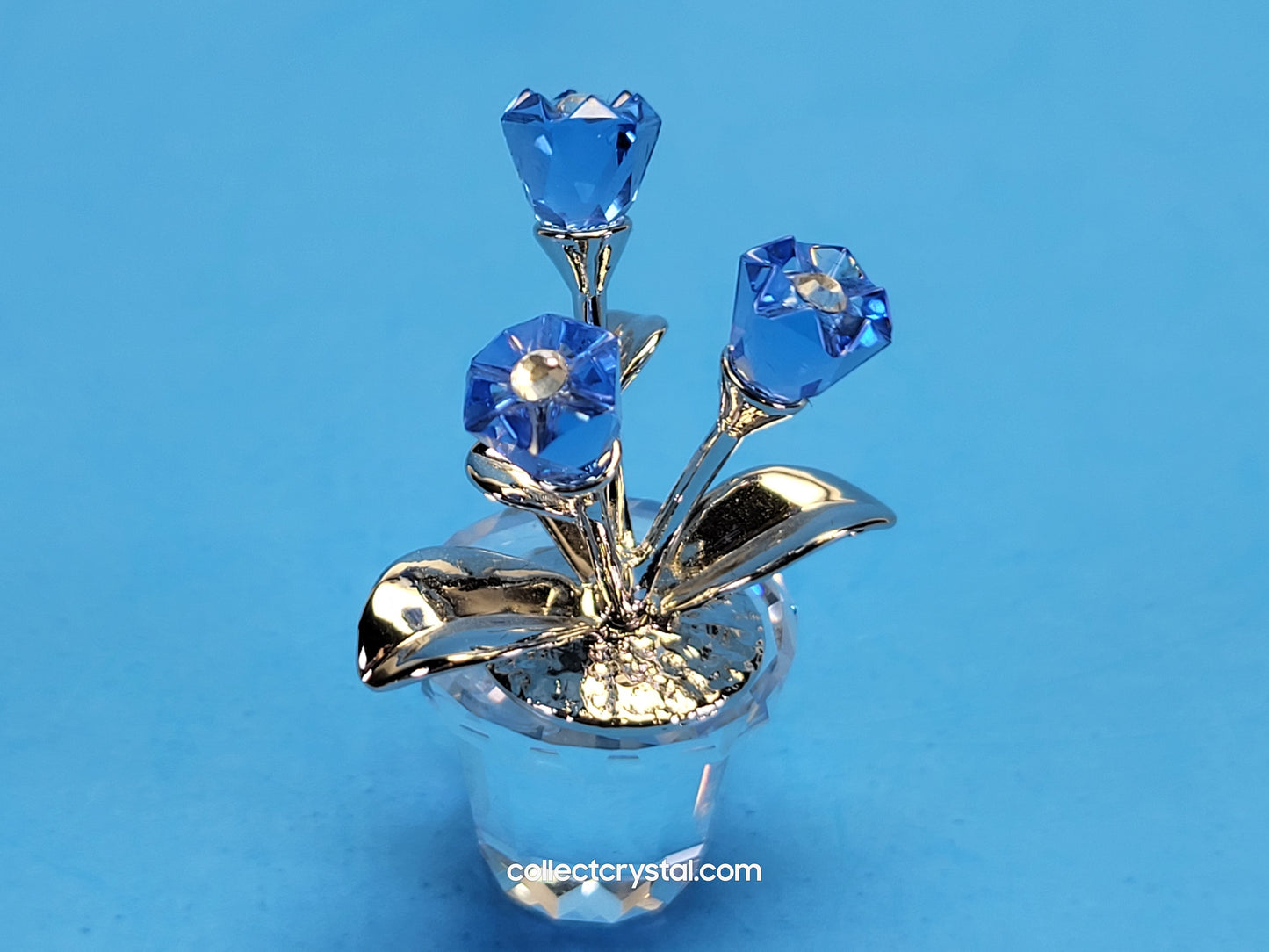 MEMORIES – FORGET-ME-NOTS / FORGET ME NOTS 626873