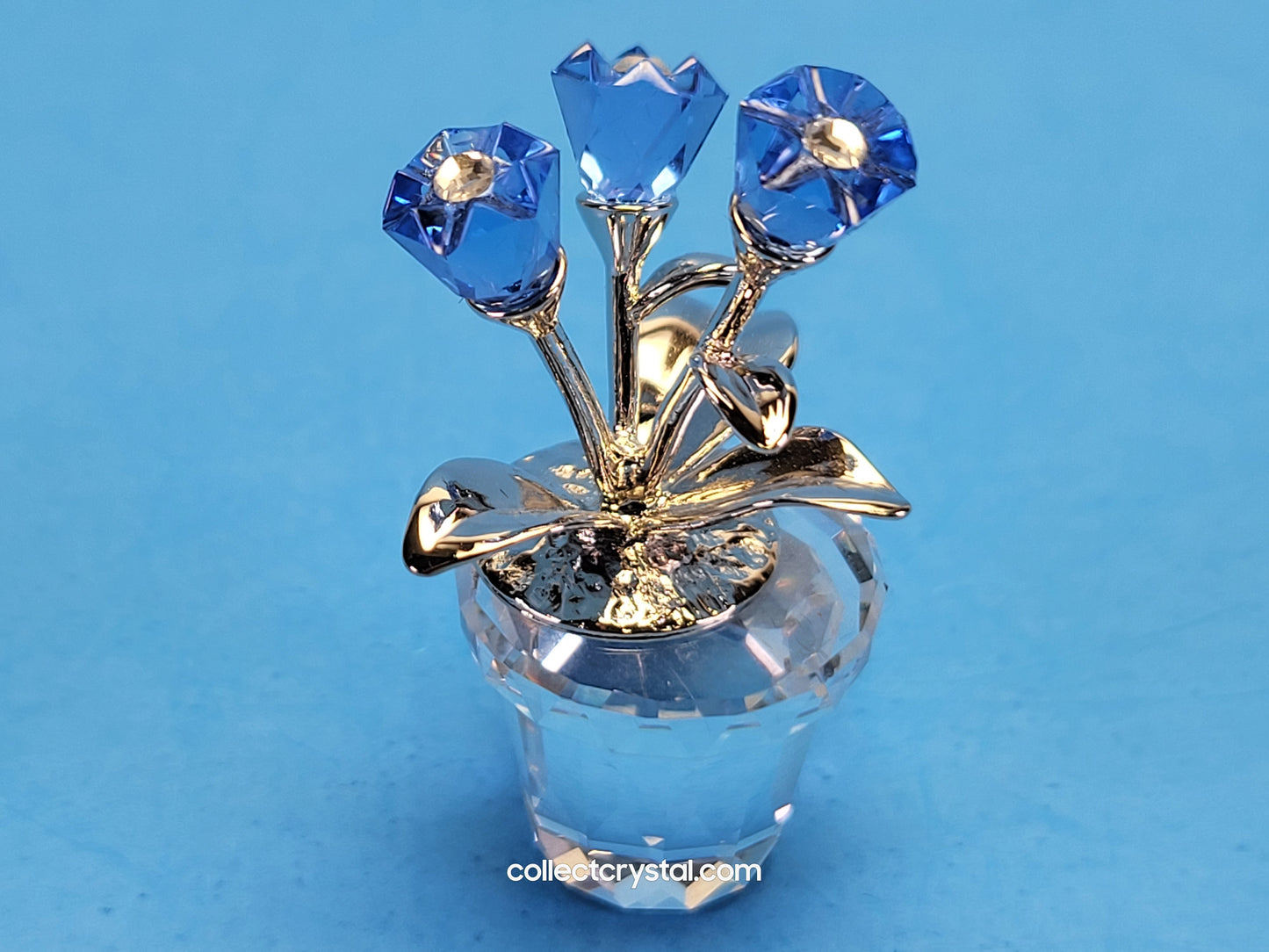 MEMORIES – FORGET-ME-NOTS / FORGET ME NOTS 626873